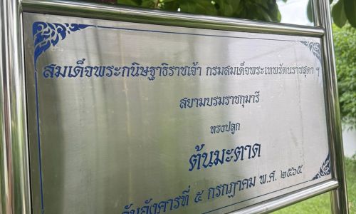 ต้นมะตาด ต้นไม้ทรงปลูก สมเด็จพระกนิษฐาธิราชเจ้า กรมสมเด็จพระเทพรัตนราชสุดาฯ สยามบรมราชกุมารี ได้ทรงปลูกต้นมะตาดไว้เมื่อวันที่ 5 กรกฎาคม 2565 ปัจจุบันผลิดอกออกผลเต็มต้น งดงาม ใบสวยทรงคุณค่า เป็นมิ่งขวัญแก่โรงเรียนบ้านเด็กรามอินทราของเราตลอดไป