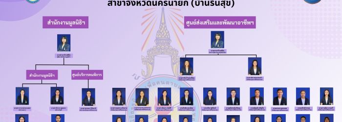 โครงสร้างองค์กร